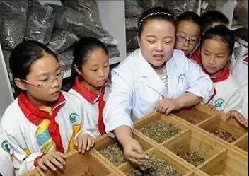 央台重磅消息：小(xiǎo)學五年(nián)級開(kāi)始學中醫(yī)