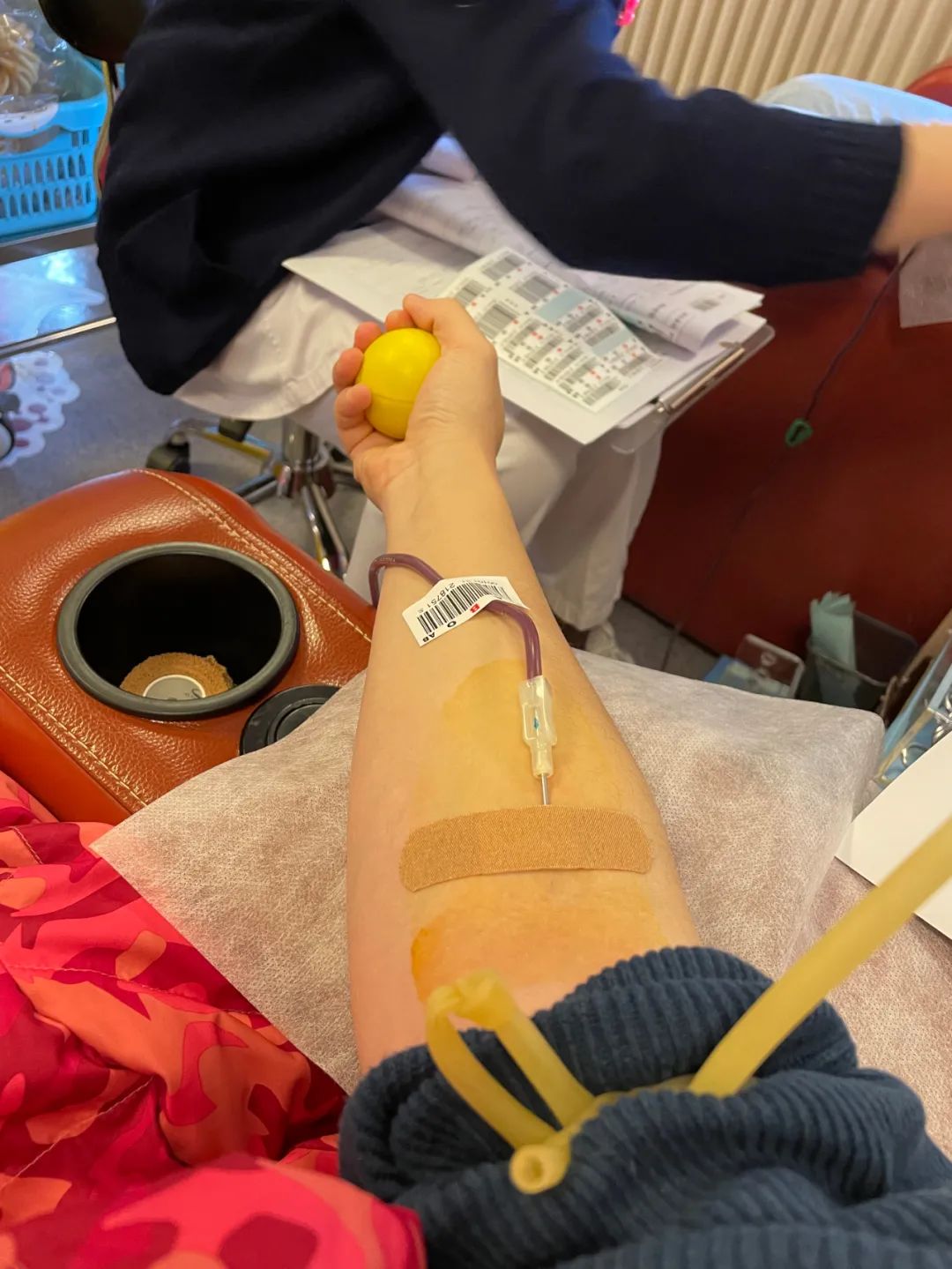 同血脈恒自(zì)強,康衆人(rén)向生(shēng)命獻禮 同血脈恒自(zì)強,康衆人(rén)向生(shēng)命獻禮